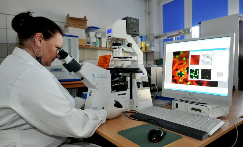 Na pierwszym planie, prawym profilem siedzi kobieta-naukowiec w białym fartuchu, spoglądając w mikroskop. Po prawej na ekranie komputera obraz z mikroskopu z kolorowymi wynikami badań.