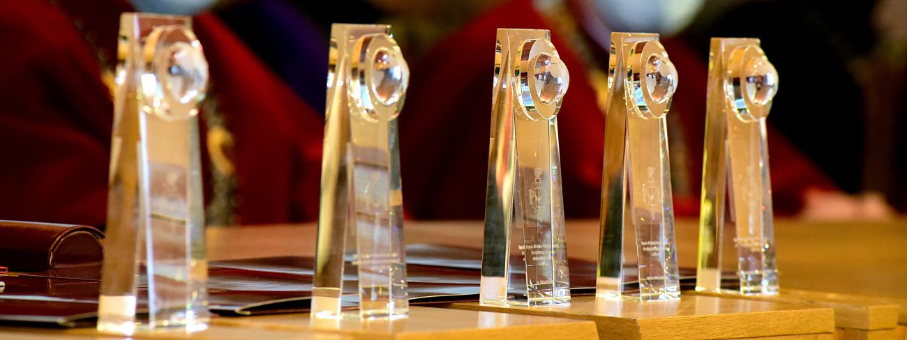 Zdjęcie poglądowe: statuetki