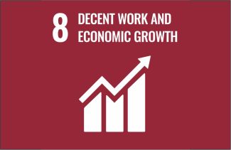 Sustainable development icon - goal 8