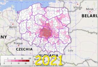 statystyki 2021