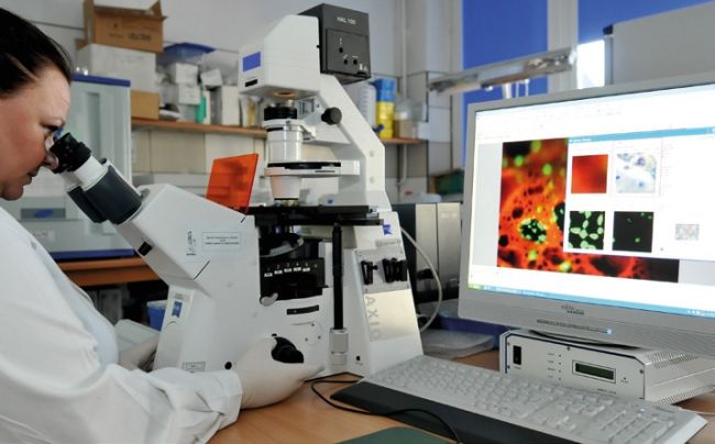 Na pierwszym planie, prawym profilem siedzi kobieta-naukowiec w białym fartuchu, spoglądając w mikroskop. Po prawej na ekranie komputera obraz z mikroskopu z kolorowymi wynikami badań.