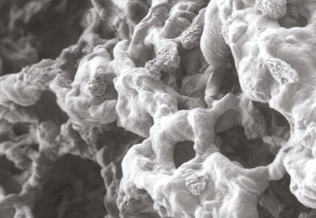 Overview photo - abstract graphic with white, grey and black bubbles.