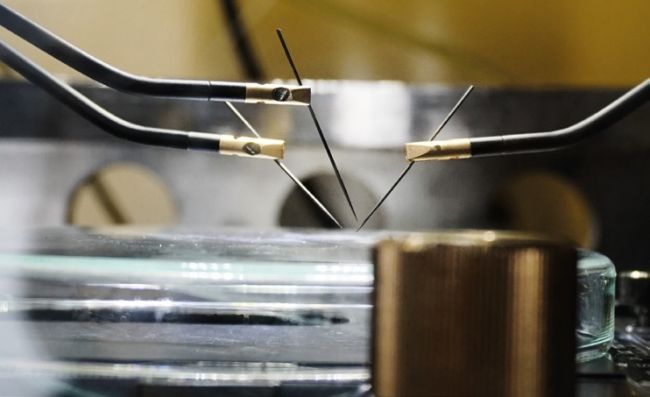 preview, Organic electronic devices