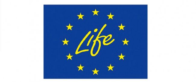 Żółte logo programu LIFE na niebieskim tle.
