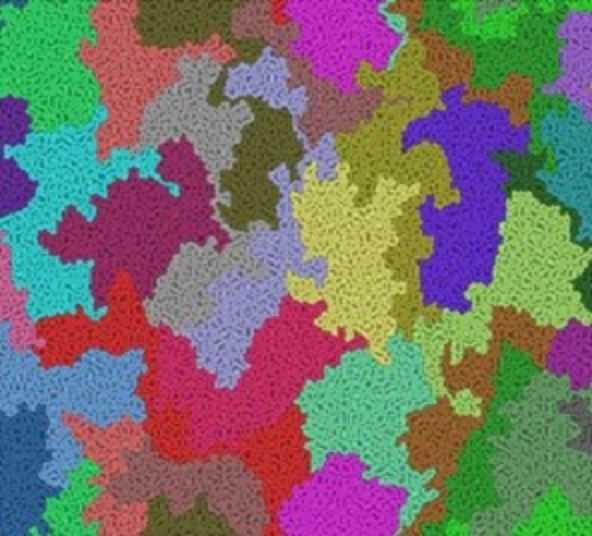 CMA simulation of two-dimensional athermal polymer solution, for concentration = 1 and chain length = 1024