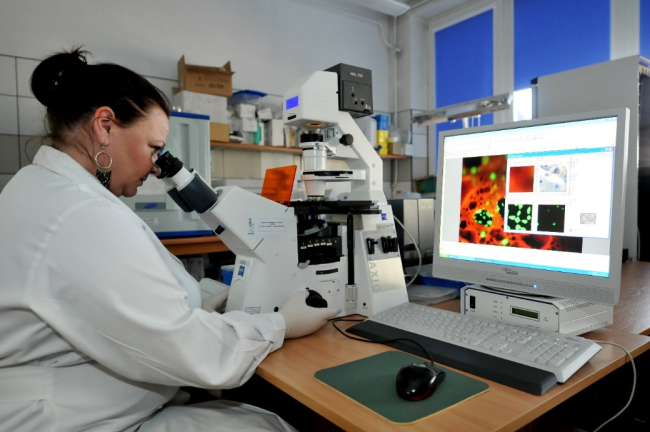 Laboratorium BioMat