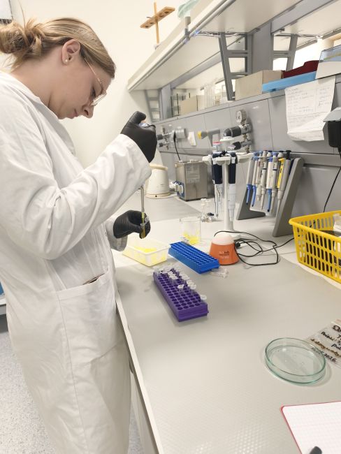 Laboratoria Instytutu Chemii Ogólnej i Ekologicznej