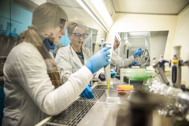 Laboratorium hodowli komórkowych