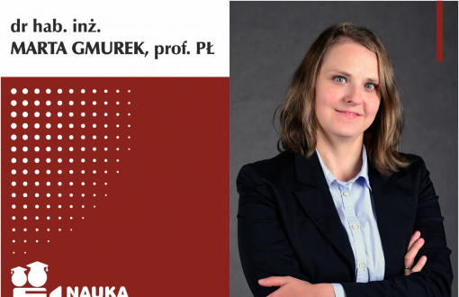 dr inż. Marta Gmurek, Professor of the University
