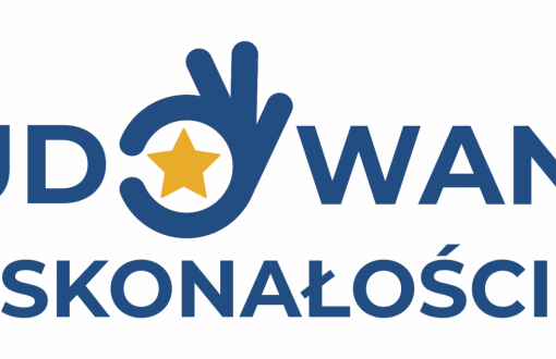 Logo projektu budowanie doskonałości. Na białym tle niebieski napis z nazwą projektu.