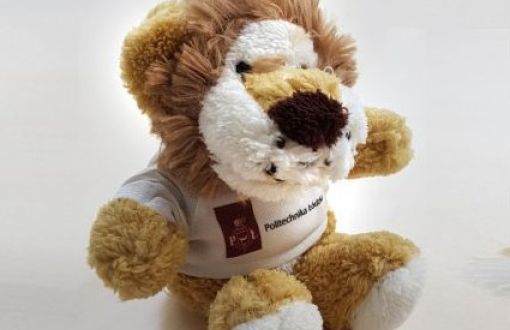 A plush mascot: a brown lion wearing a white T-shirt with the inscription Lodz University of Technology sitting on a white background.