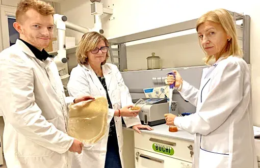 Zespół badawczy w skaładzie od prawej: prof. Katarzyna Budryn, prof. Agnieszka Nowak i dr Andrzej Jaśkiewicz, fot. archiwum zespołu
