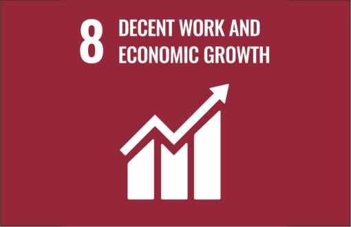 Sustainable development icon - goal 8