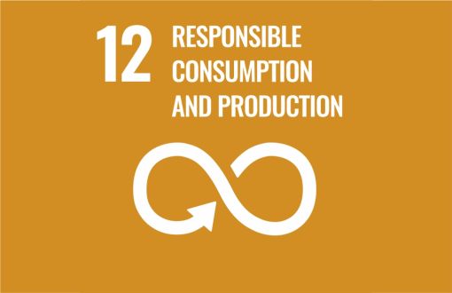 Sustainable development icon - goal 12