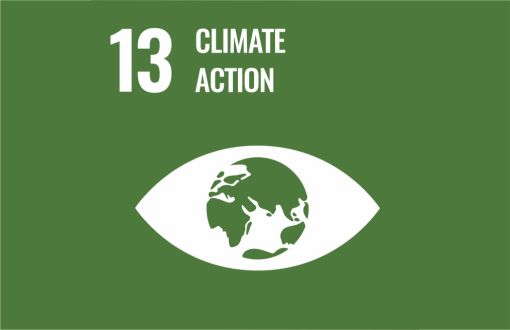 Sustainable development icon - goal 13
