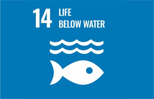 Sustainable development icon - goal 14