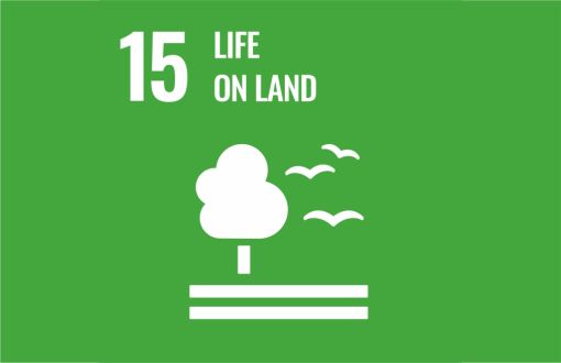 Sustainable development icon - goal 15