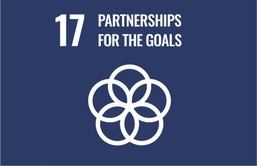 Sustainable development icon - goal 17