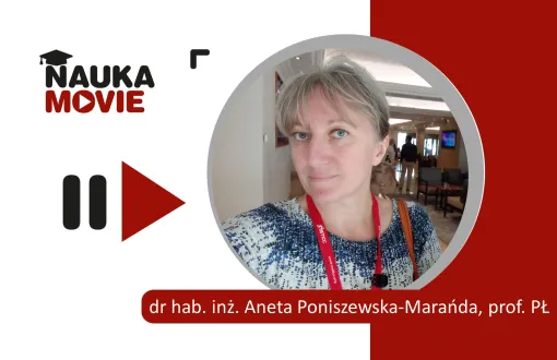 prof. Poniszewska-Marańda, PŁ