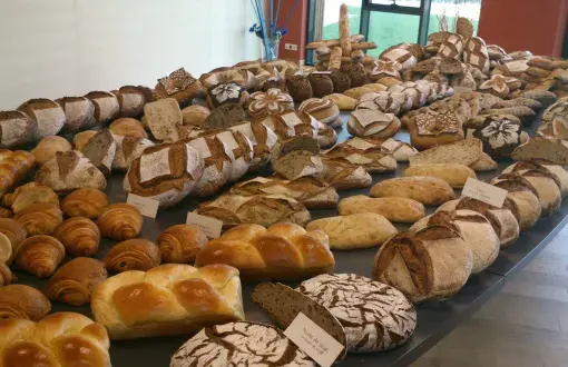 Different kinds of bread