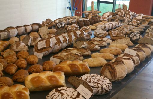 Different kinds of bread