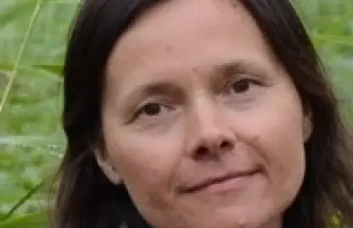 dr hab. inż. arch. Aneta Kępczyńska-Walczak, TUL prof.