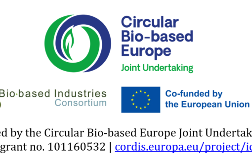 The New European Bauhaus Academy