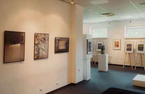 Photo exhibition "Freedom"