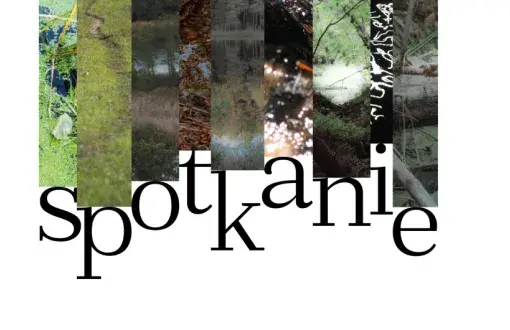 Grafika promująca wystawę Spotkanie w Biblio-Art