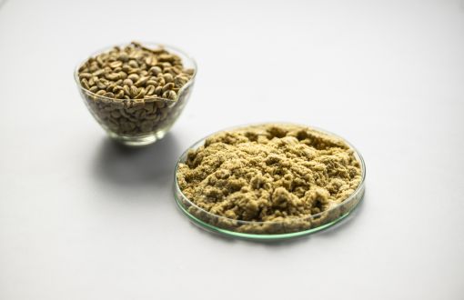 miseczka z ziarnami zielonej kawy i podstawka ze sproszkowanym produktem