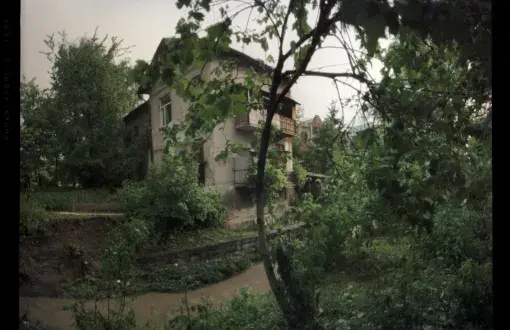 artystyczna fotografia zaniedbanego budynku wśród zielonej roślinności