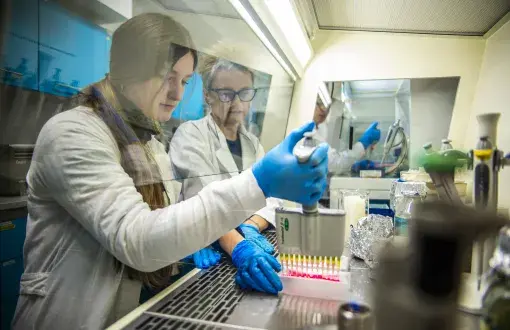 Dwie osoby w białych fartuchach i niebieskich rękawiczkach pracują w laboratorium. Jedna z nich pipetuje próbki do płytki laboratoryjnej, a w tle widoczne są urządzenia i wyposażenie laboratoryjne.